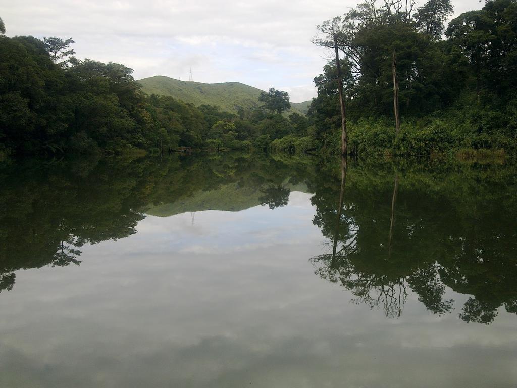 Periyar Woods Bed & Breakfast Thekkady Eksteriør bilde