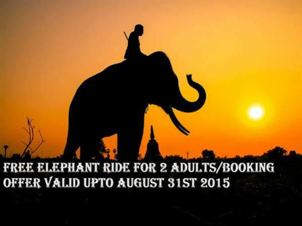 Periyar Woods Bed & Breakfast Thekkady Eksteriør bilde